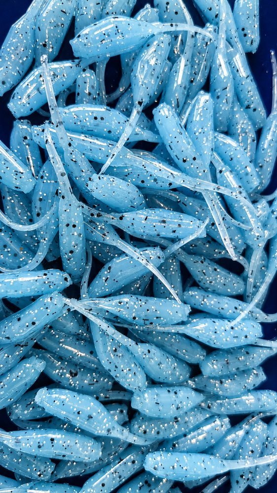 Glacier Shad 2" Baby Shad Crappie Soft Plastic Baits – 100 Count